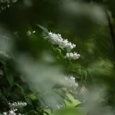 Mientje, 35214 Apartman Hesel