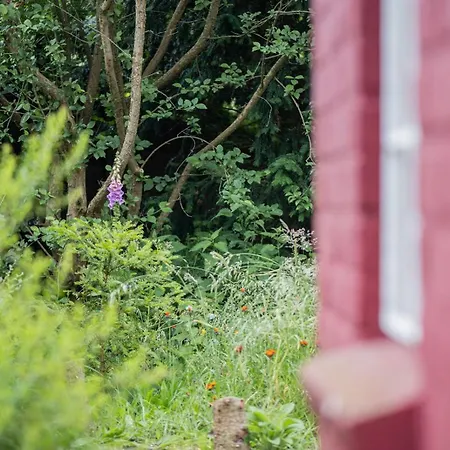 Mientje, 35214 Hesel