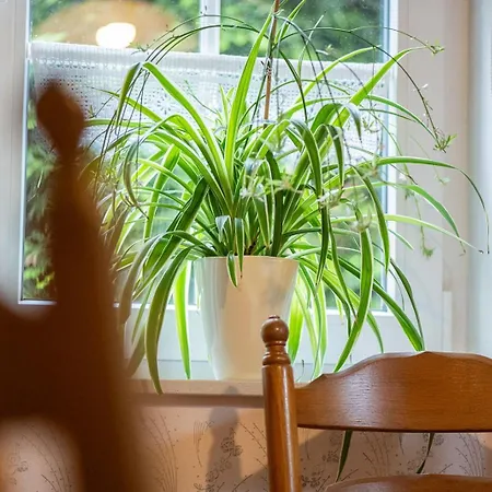 Apartman Mientje, 35214 *