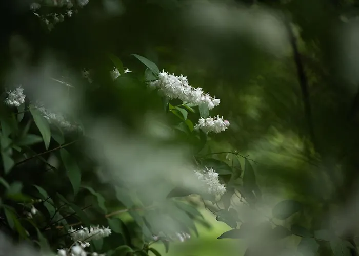 Mientje, 35214 شقة Hesel