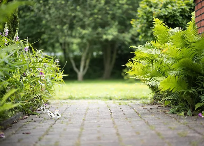 Mientje, 35214 Hesel