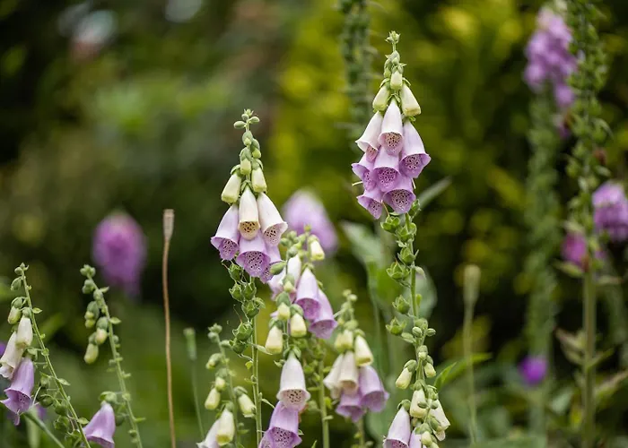 شقة Mientje, 35214 *