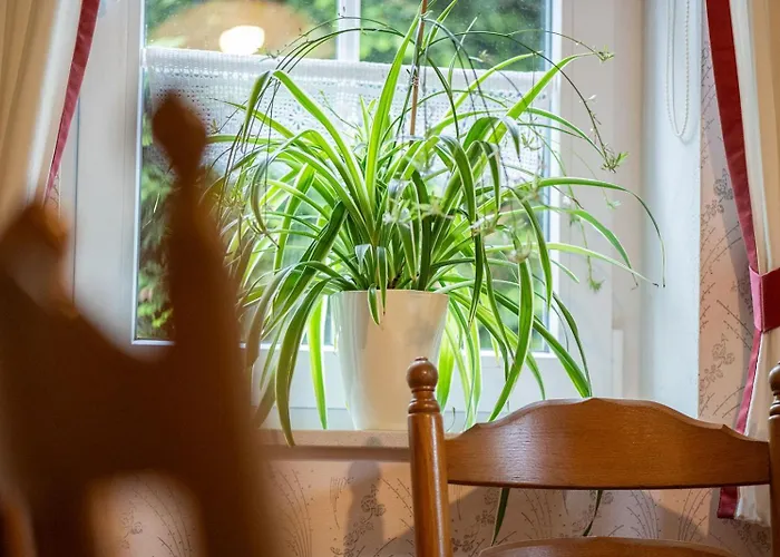 شقة Mientje, 35214 *